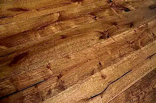 Ditorian Vintage Oak Distressed Hard Wax Oiled Wood Flooring 190 x 3/14 x 1900mm - Image 3