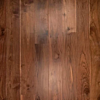 American Black Walnut